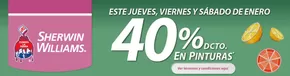 Catálogo Sherwin Williams en La Florida | Hasta 40% dcto! | 2025-01-08T00:00:00.000Z - 2025-03-31T00:00:00.000Z