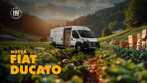 Catálogo Fiat | Nueva Fiat ducato! | 2025-01-30T00:00:00.000Z - 2025-07-31T00:00:00.000Z