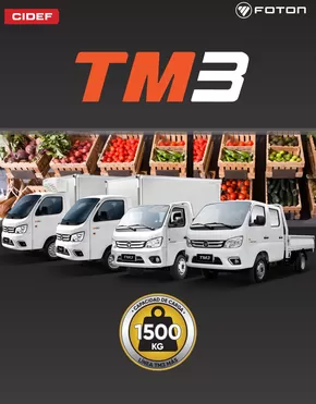Catálogo Cidef en Temuco | TM3! | 2025-01-31T00:00:00.000Z - 2025-06-29T00:00:00.000Z