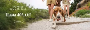 Catálogo Hush Puppies en Lo Barnechea | Puppies summer sale! Hasta 40% off. | 2025-01-31T00:00:00.000Z - 2025-03-15T00:00:00.000Z
