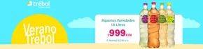 Catálogo Supermercado El Trébol en Temuco | Verano Trebol! | 2025-02-13T00:00:00.000Z - 2025-03-15T00:00:00.000Z