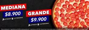 Catálogo Pizza Pizza en Valparaíso | Oferta promocional! | 2025-02-17T00:00:00.000Z - 2025-05-17T00:00:00.000Z