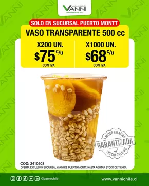 Catálogo Vanni | Súper ofertas en Puerto Montt! | 2025-04-10T00:00:00.000Z - 2025-04-24T00:00:00.000Z