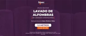 Lavado de alfombras!
