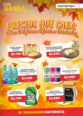Catálogo Super Ganga | Ofertas Super Ganga | 2025-05-09T00:00:00.000Z - 2025-05-23T00:00:00.000Z