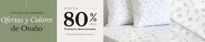 Hasta 80% dcto!