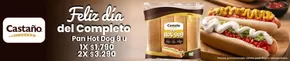 Catálogo Castaño | Feliz dia del completo! | 2025-05-20T00:00:00.000Z - 2025-06-24T00:00:00.000Z
