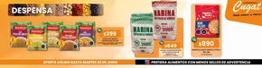 Oferta exclusivos!