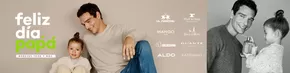 Catálogo Falabella en Concepción | Ofertas principales para todos los clientes | 2025-06-05T00:00:00.000Z - 2025-06-19T00:00:00.000Z
