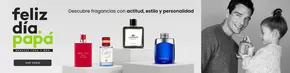 Catálogo Falabella en Santiago | Ofertas principales y descuentos | 2025-06-10T00:00:00.000Z - 2025-06-24T00:00:00.000Z