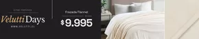 Catálogo Velutti en Rancagua | Oferta promocional! | 2025-06-11T00:00:00.000Z - 2025-06-25T00:00:00.000Z