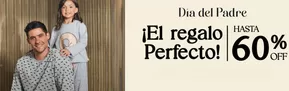 Catálogo Flores en Antofagasta | Dia del padre! Hasta 60% Off. | 2025-06-11T00:00:00.000Z - 2025-06-26T00:00:00.000Z