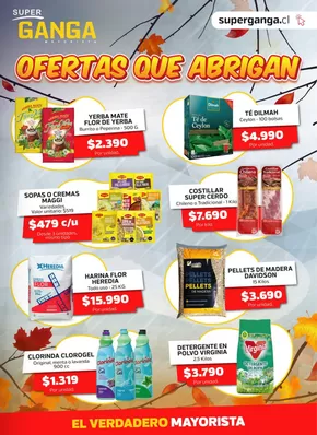 Catálogo Super Ganga en Chillán | Ofertas Super Ganga | 2025-06-12T00:00:00.000Z - 2025-06-26T00:00:00.000Z