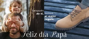 Catálogo Guante Zapatos en Antofagasta | Feliz dia Papá! | 2025-06-12T00:00:00.000Z - 2025-06-15T00:00:00.000Z