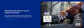 Catálogo Banco de Chile en San Felipe | Hasta 40% dto! | 2025-06-24T00:00:00.000Z - 2025-07-08T00:00:00.000Z