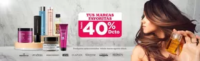 Catálogo Palumbo | Hasta 40% dcto! | 2025-06-30T00:00:00.000Z - 2025-07-15T00:00:00.000Z